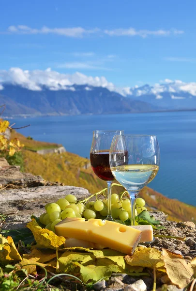 Two wineglasses, cheese and grapes on the terrace of vineyard — Stock Photo, Image