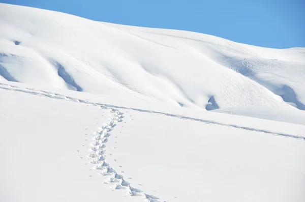 Schritte auf dem Schnee — Stockfoto