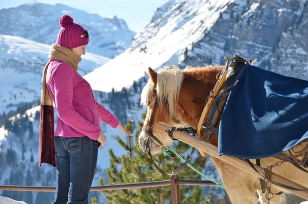 Flicka och en häst — Stockfoto