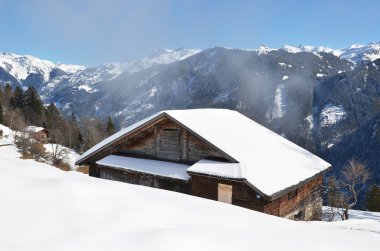 braunwald evde