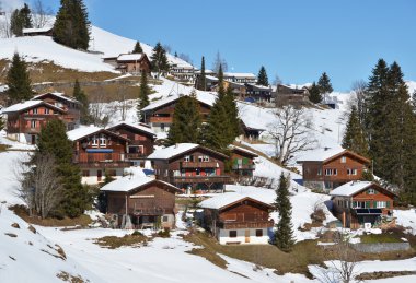 Braunwald
