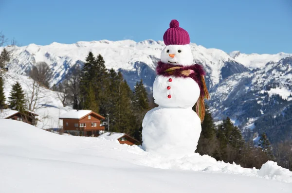 Hombre de nieve — Foto de Stock