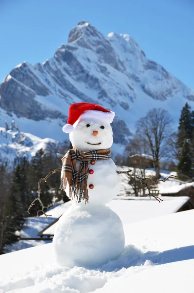 Snowman — Stock Photo, Image