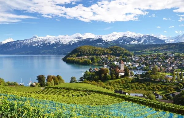 Spiez — Stockfoto