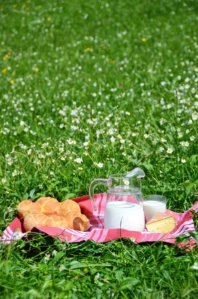 Lait, fromage et pain sur prairie alpine — Photo