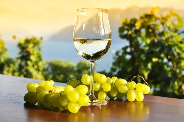 Vino y uvas. — Foto de Stock