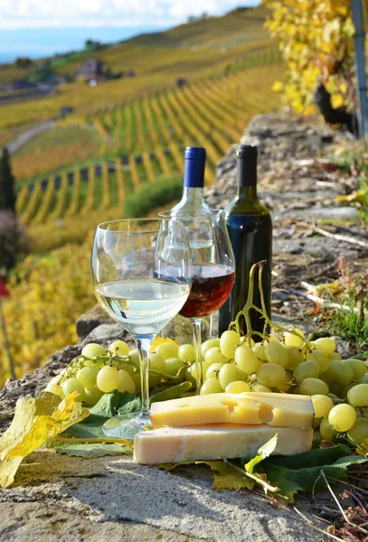 Två vinglas, ost och vindruvor — Stockfoto