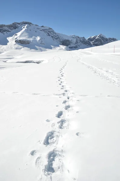 Passos na neve — Fotografia de Stock