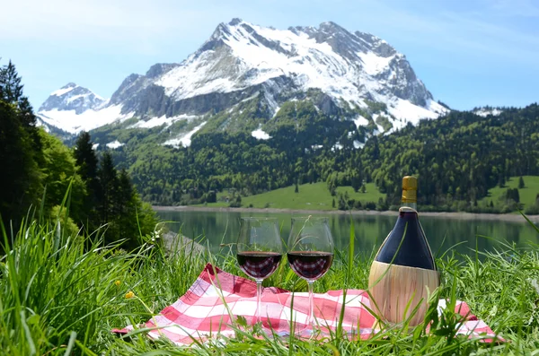 Piknik i Alpine enger – stockfoto