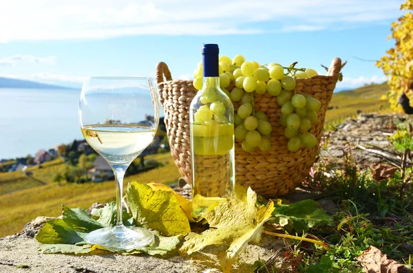 Vino y queso . — Foto de Stock