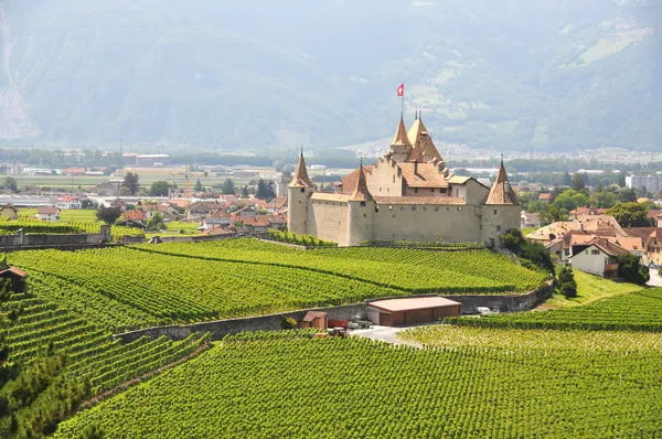 Słynny Zamek chateau d'aigle — Zdjęcie stockowe