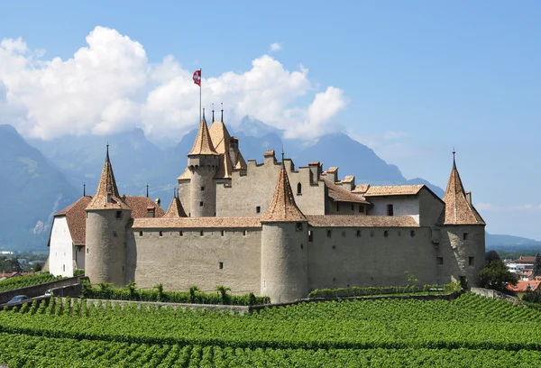 Beroemde kasteel kasteel d'aigle — Stockfoto