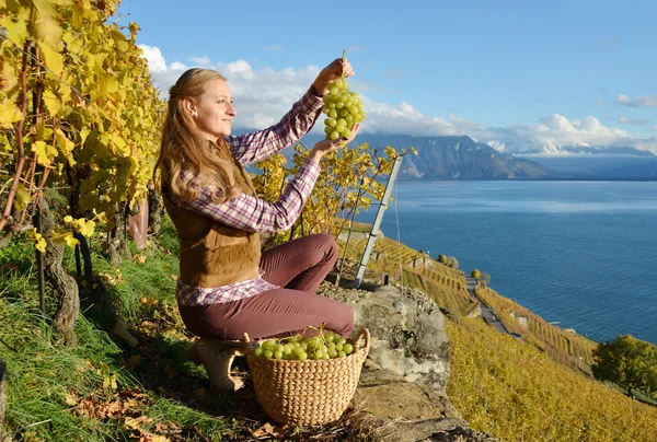 Girl with a basket full of grapes — Stock Photo, Image