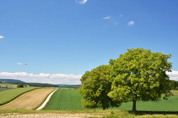 Sommar landskap, Schweiz — Stockfoto