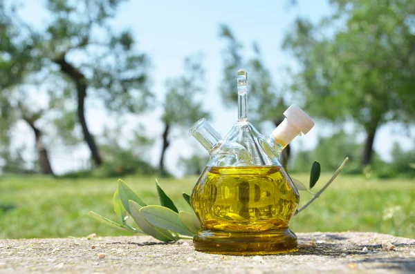 Оливковое масло . — стоковое фото