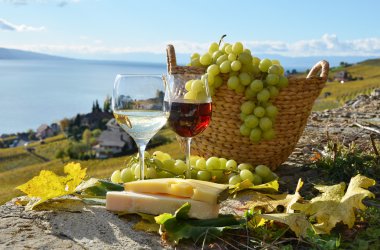 şarap ve üzüm lavaux bölgesinde, İsviçre