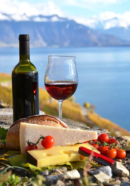 Red wine, cheese. Lavaux, Switzerland — Stock Photo, Image