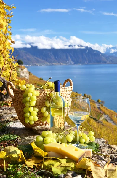 Weinglas und Korb mit Trauben. — Stockfoto