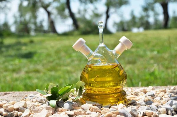 Olive oil. Sirmione, Italy — Stock Photo, Image