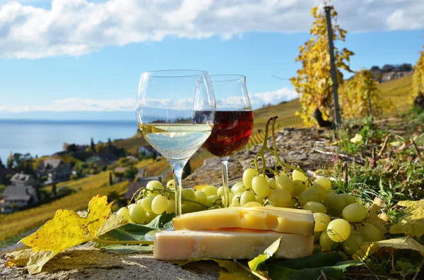 Vino, formaggio e uva — Foto Stock