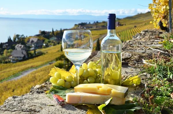 Víno, sýr a hrozny — Stock fotografie