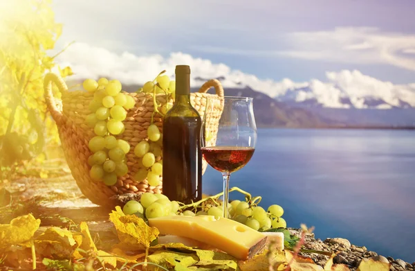 Red wine and grapes on the terrace of vineyard — Stock Photo, Image