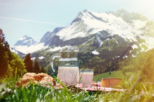 Mléko, sýr a chleba, podávaný na pikniku — Stock fotografie