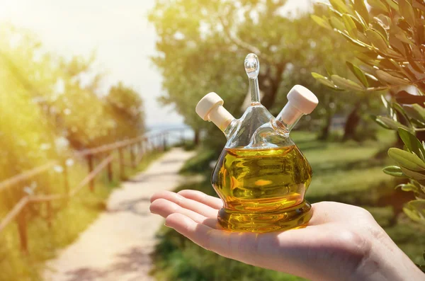 Оливковое масло. Мбаппе, Италия — стоковое фото