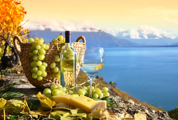 Wine and grapes — Stock Photo, Image