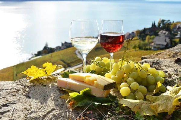 Víno a hrozny — Stock fotografie