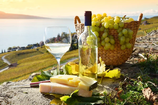 Wine and grapes — Stock Photo, Image