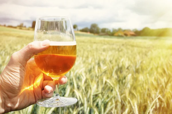 Glass of beer — Stock Photo, Image