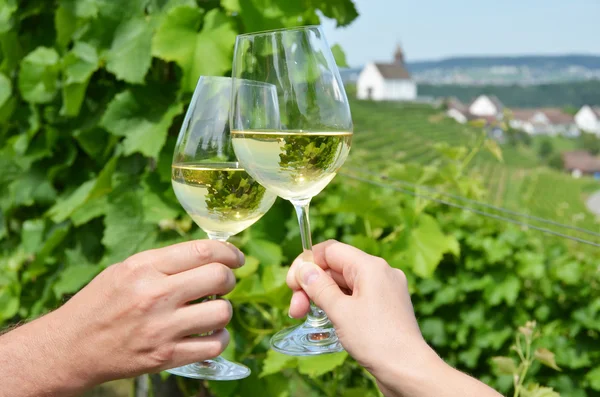 Weingläser gegen Weinberge — Stockfoto