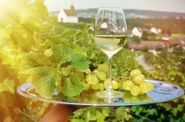 Wine and grapes — Stock Photo, Image