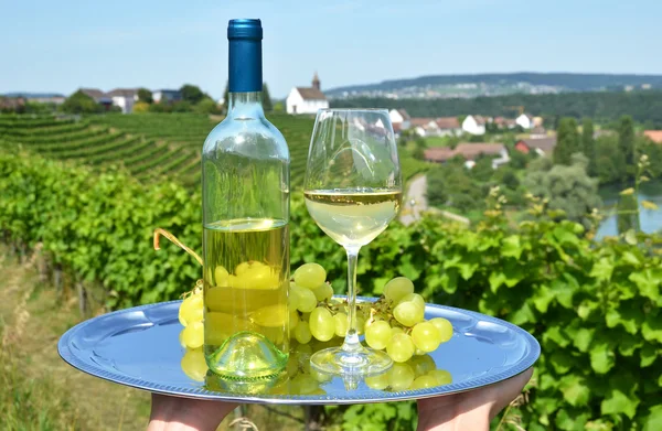 Wine and grapes — Stock Photo, Image