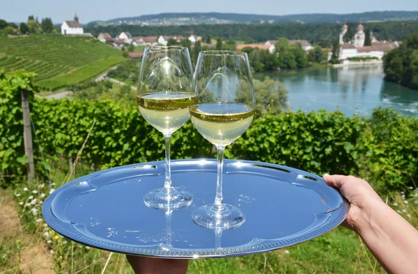 Wineglasses against vineyards — Stock Photo, Image