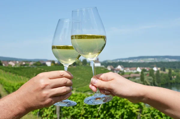 Gafas de vino contra viñedos —  Fotos de Stock