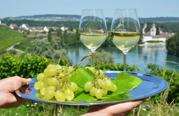 Wineglasses against vineyards — Stock Photo, Image