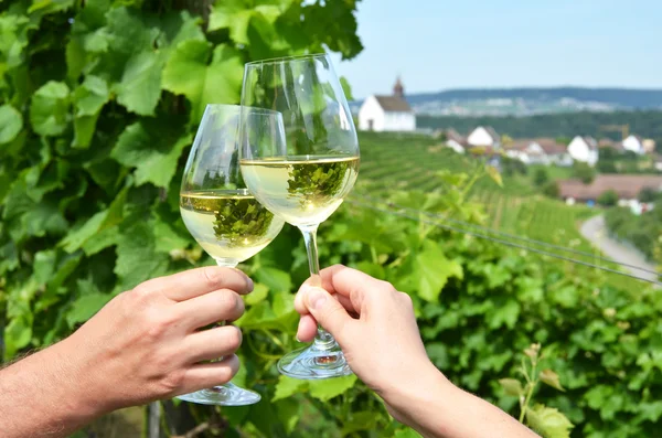 Weingläser gegen Weinberge — Stockfoto