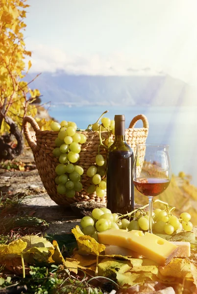 Wine and grapes — Stock Photo, Image