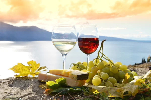 Wine and grapes — Stock Photo, Image