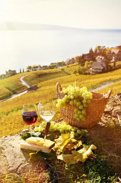 Wine and grapes — Stock Photo, Image