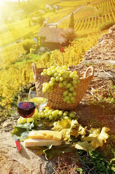 Wein und Trauben — Stockfoto