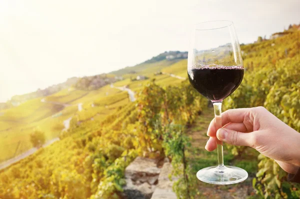 Бокал красного вина в регионе Лаво — стоковое фото