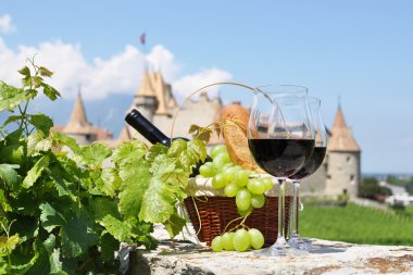 Wine and grapes in Chateau de Aigle, clipart