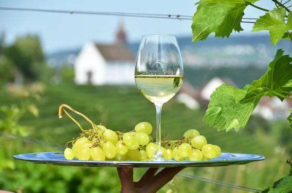 Wijnglas tegen wijngaarden in rheinau — Stockfoto