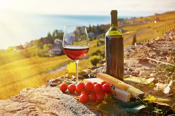 Wein und Trauben — Stockfoto