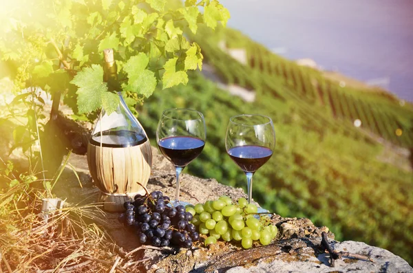 Rotwein und Trauben — Stockfoto