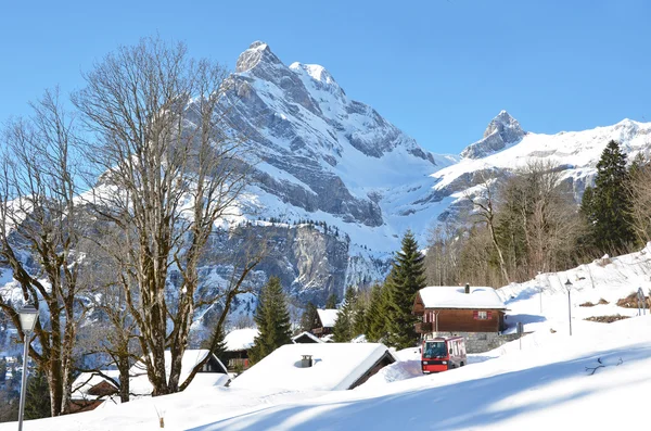 Braunwald — Stock Photo, Image