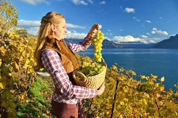 Девушка с корзиной, полной винограда — стоковое фото